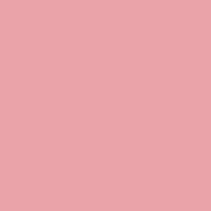 Rosa clar RAL 3015