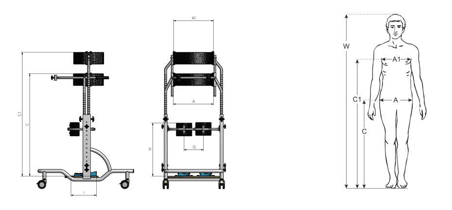 Mides bipedestador Parapion - Rehagirona