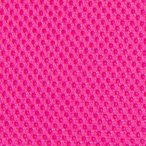 Rosa Rosa