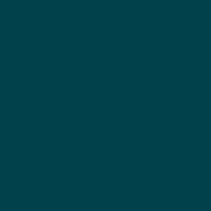 Blau oceà RAL 5020