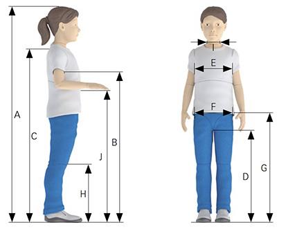 Ajustes medidas bipedestador Till - Rehagirona