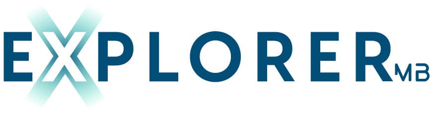 Logo Explorer